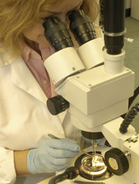 case study nanotechnology